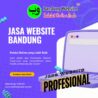 Jasa Website Ciparay Bandung